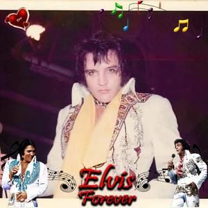 Meet your Posher, Teri